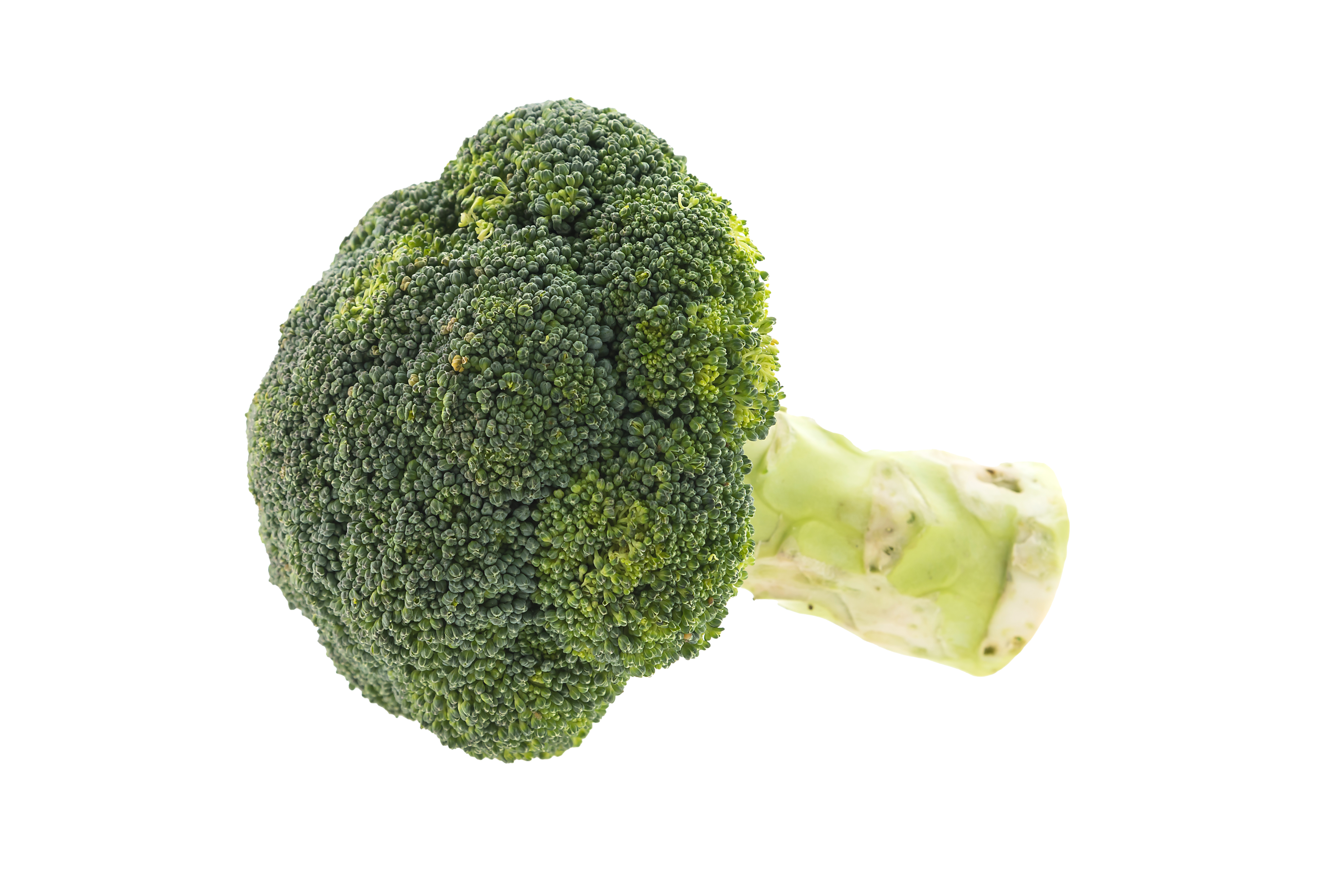 Broccoli
